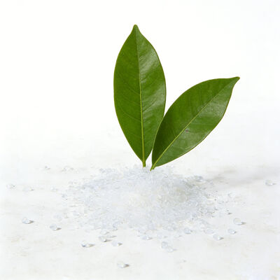 Beli Granul Plastik PP PPH-G70T Polypropylene Resin Kelas Dinding Tipis untuk Kotak Makan Siang online manufacture